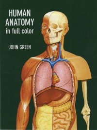 Human anatomy & physiology / Elaine Marieb.