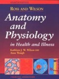 ROSS AND WILSON ANATOMY AND PHYSIOLOGY IN  HEALTH AND ILLNESS