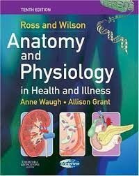 ANATOMY AND PHYSIOLOGY IN HEALTH AND ILLNESS